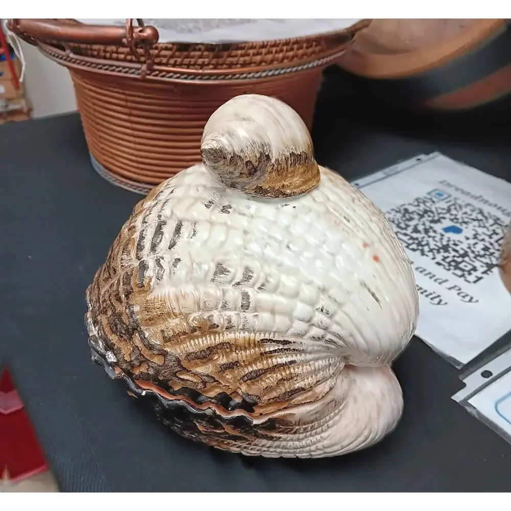 Ethan Allen Sea Shell Trinket Soap Dish Ceramic Made In Italy Ornate